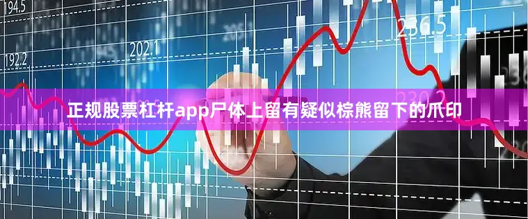 正规股票杠杆app尸体上留有疑似棕熊留下的爪印